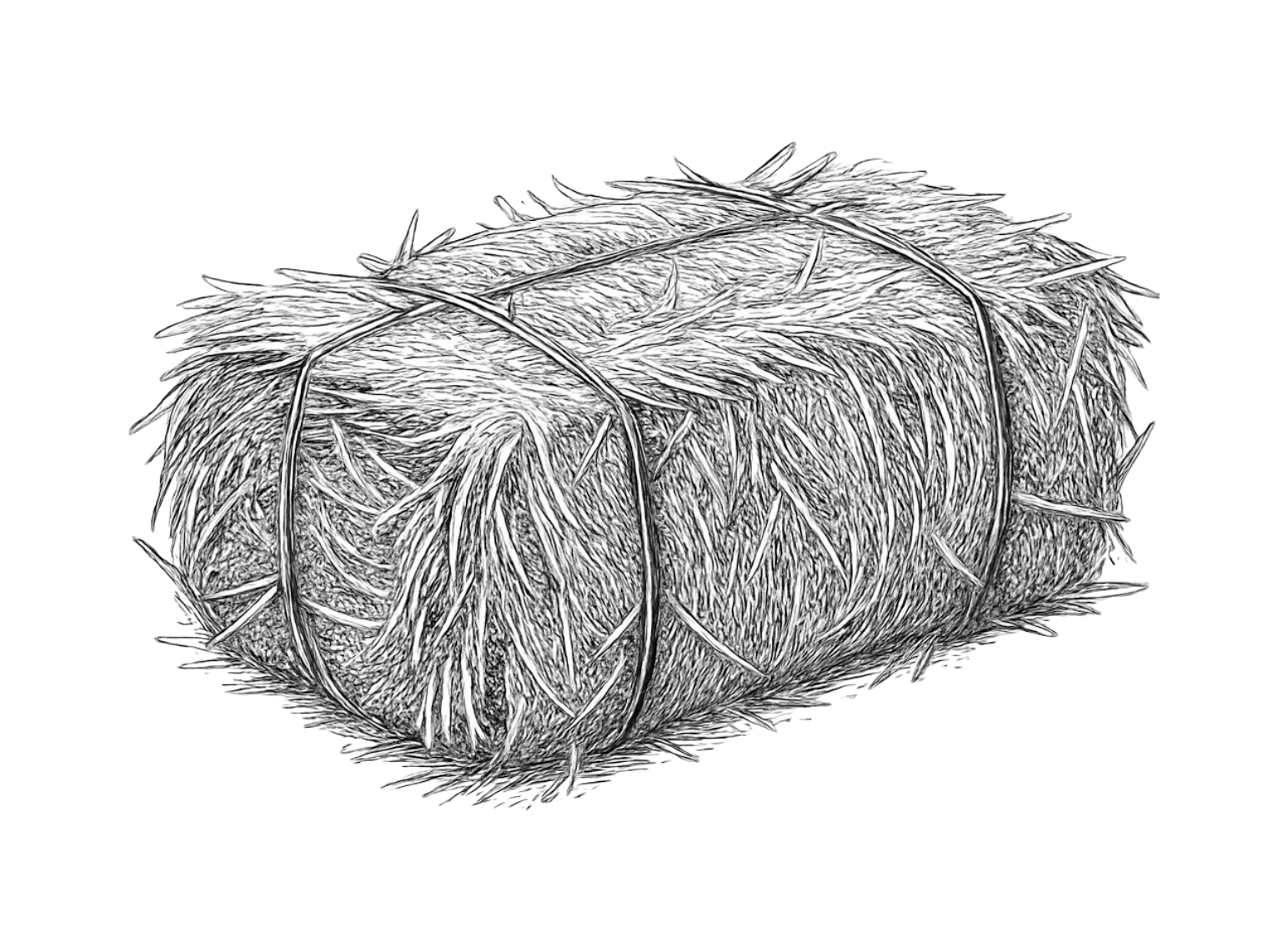 haybale